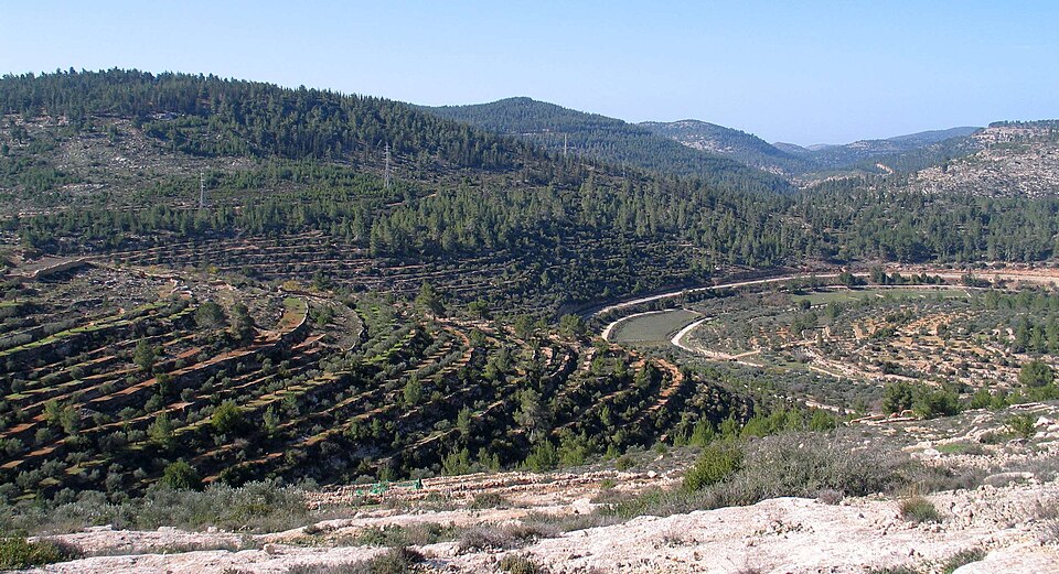 Terrazas de cultivo en las laderas del pueblo de Battir