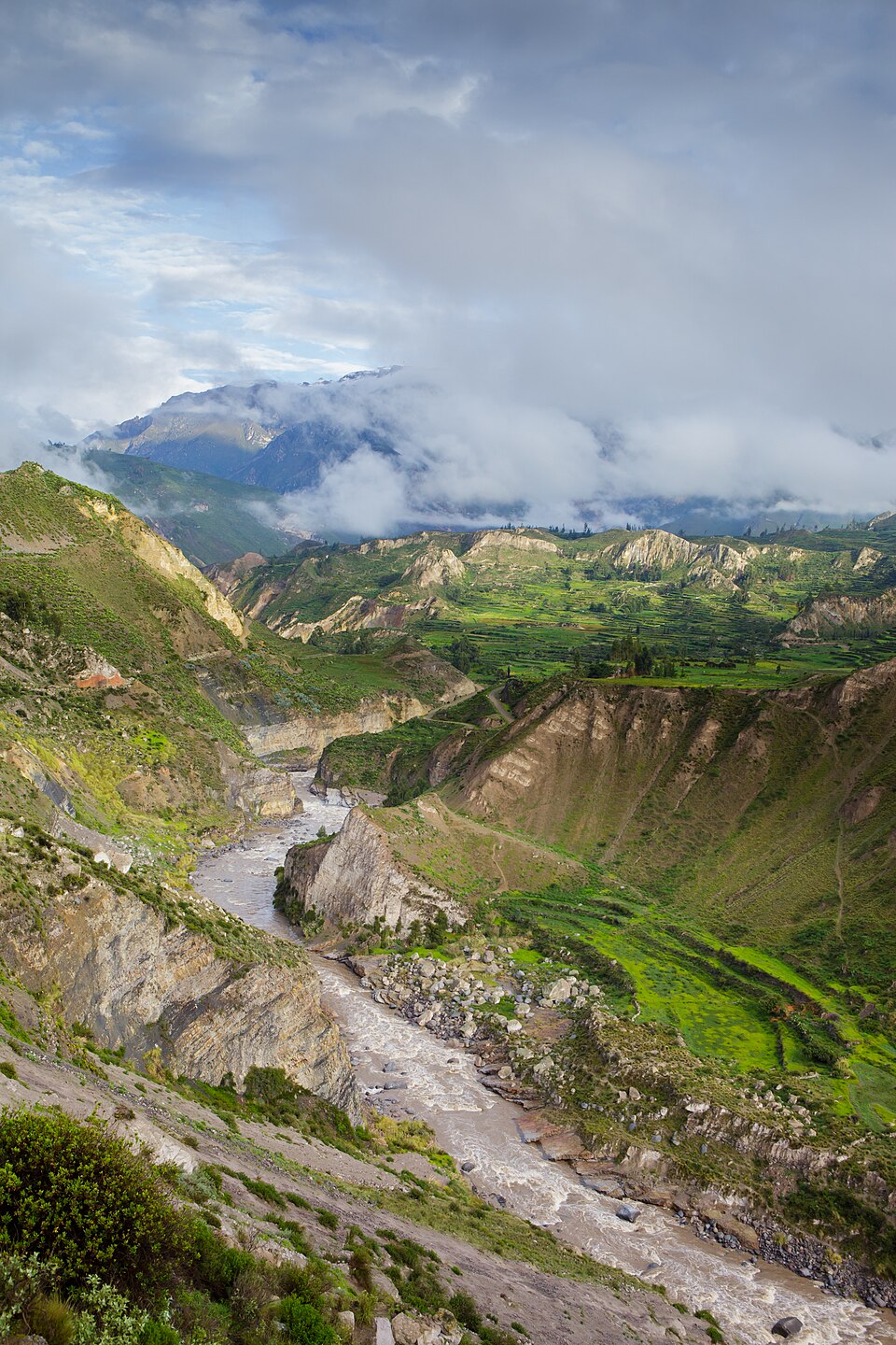 El cañón del Colca con terrazas verdes y montañas entre nubes