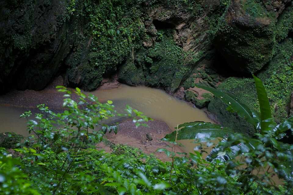 El río subterráneo de Camuy en el fondo de una dolina cubierta de vegetación