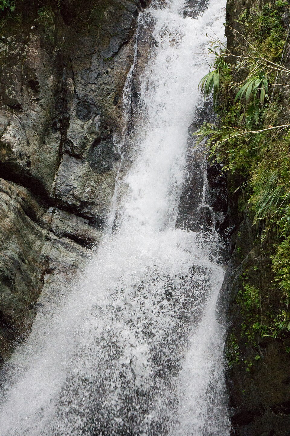 La cascada de La Mina cayendo entre rocas en la selva de El Yunque