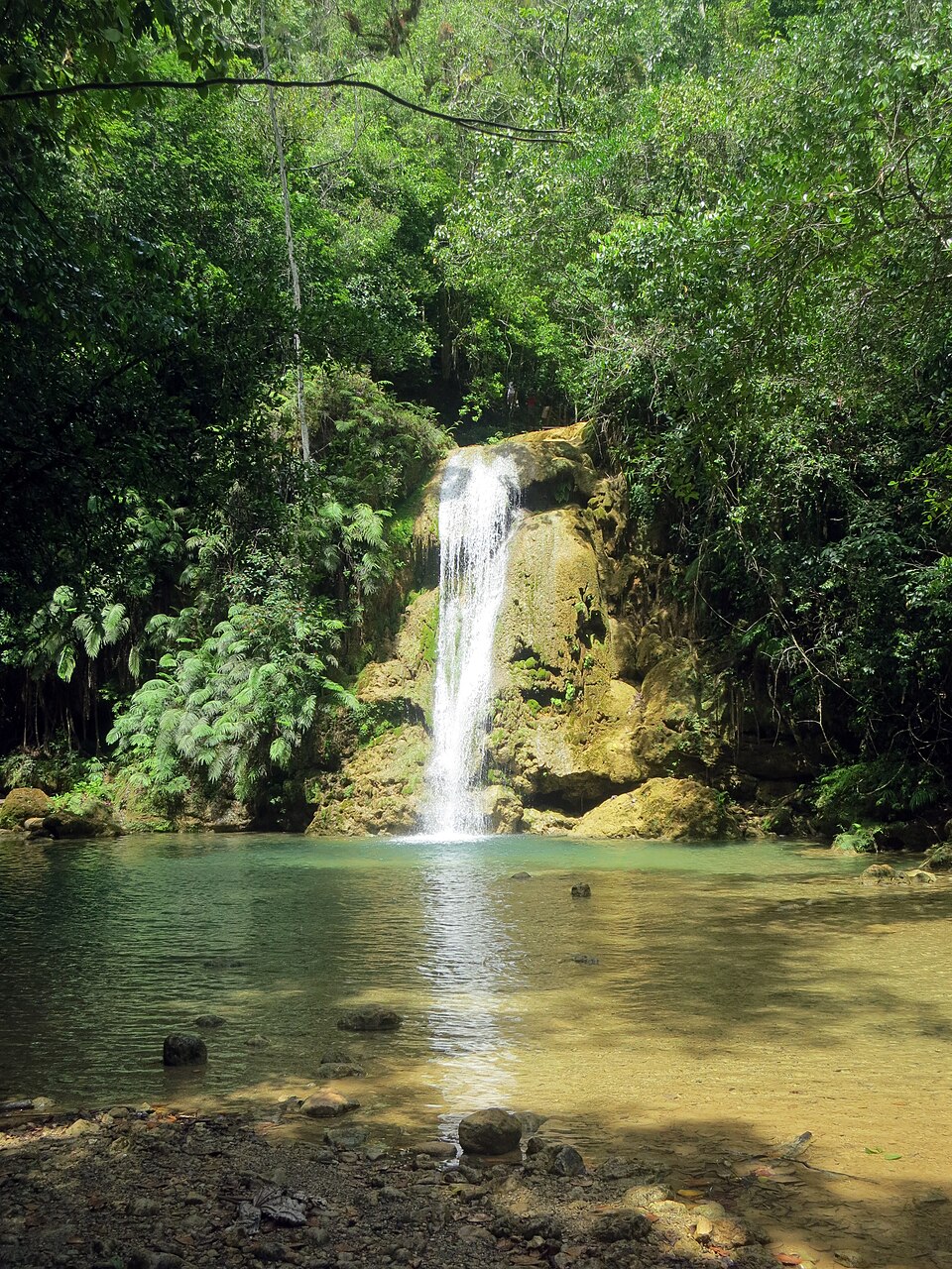 La cascada del Salto El Limón cayendo en una poza rodeada de selva