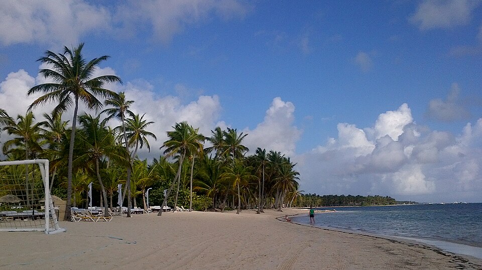 Playa de arena blanca con palmeras en Punta Cana