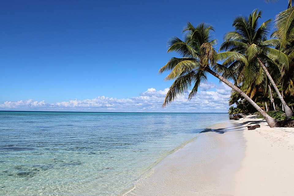 Playa de la isla Saona con palmeras inclinadas sobre el agua transparente