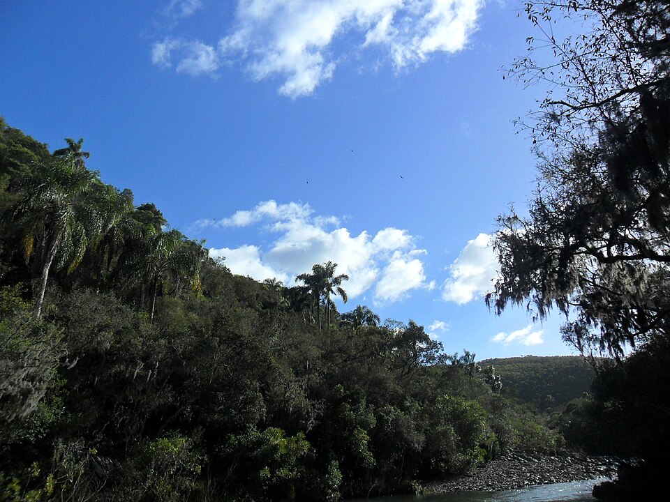 La quebrada de los Cuervos con laderas cubiertas de bosque y cielo azul