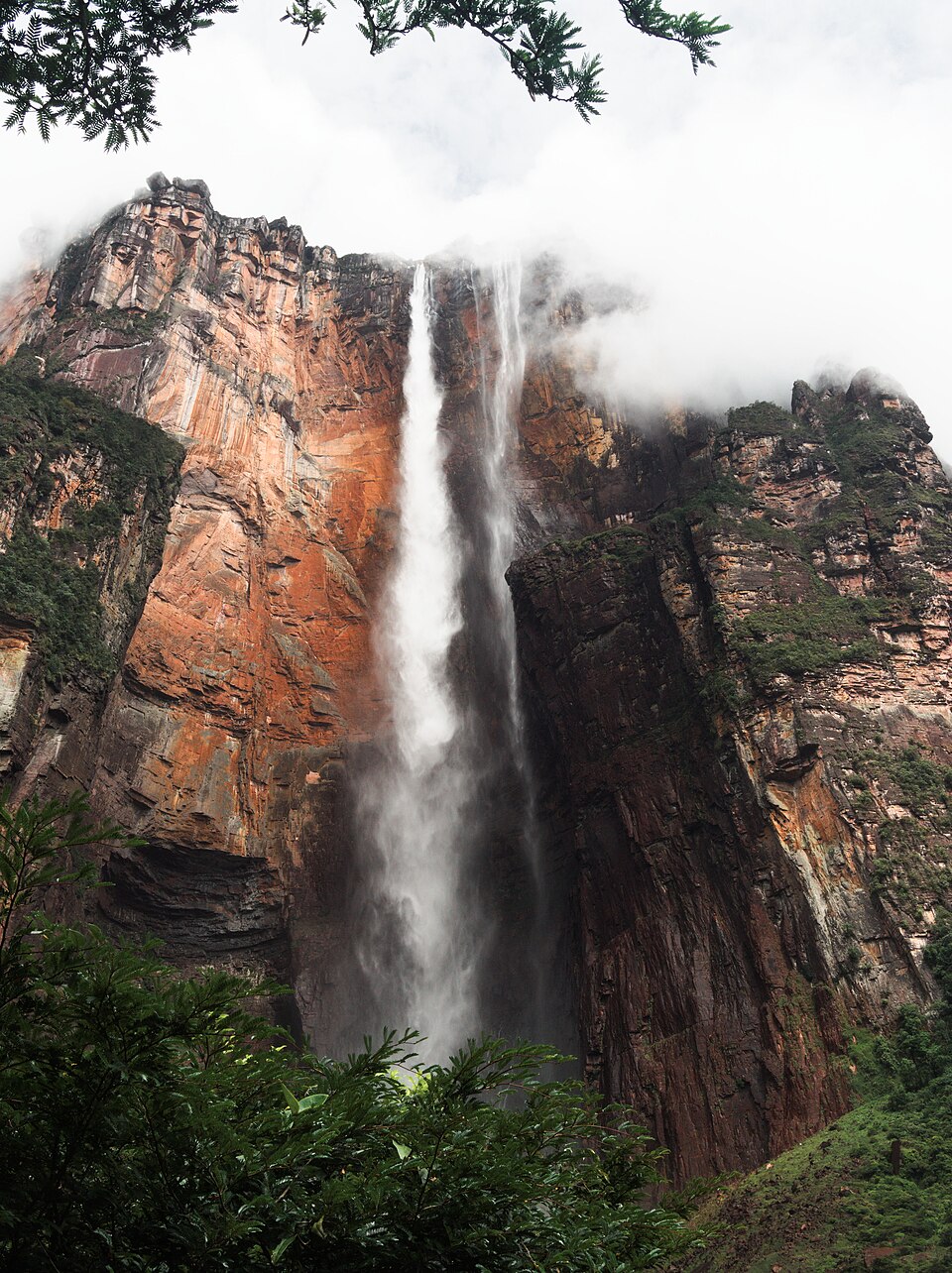 El Salto Ángel cayendo desde la pared rojiza del Auyán-tepui entre la selva