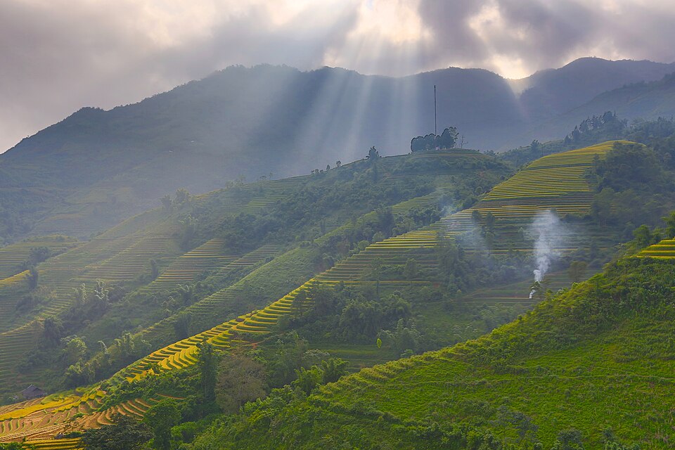 Rayos de sol sobre terrazas de arroz verdes en Sapa