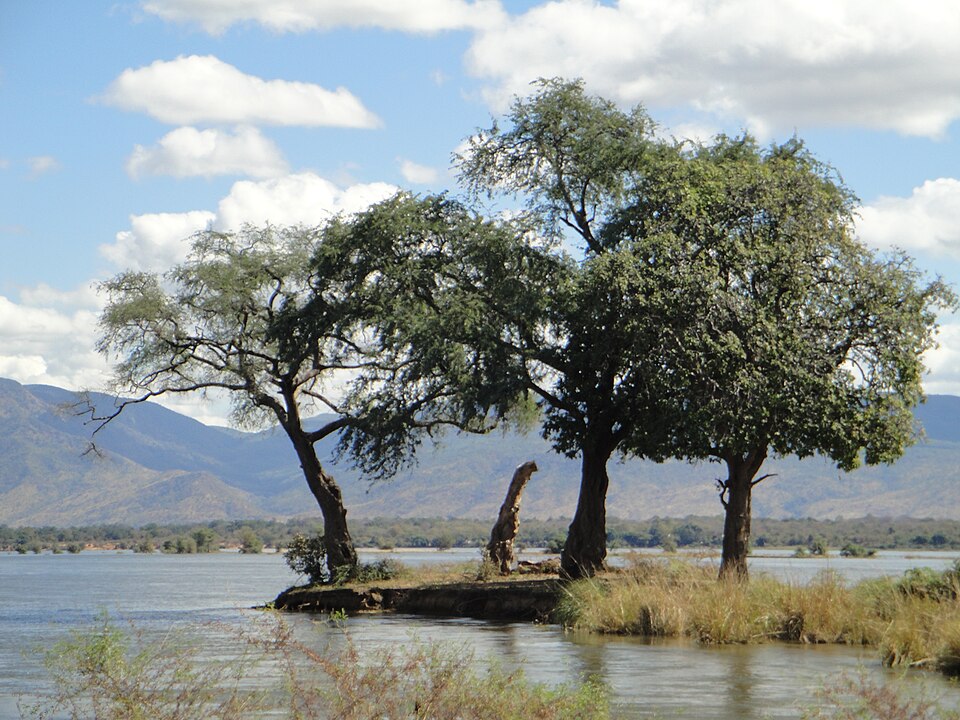 Isla con árboles en el río Zambeze frente a montañas en Mana Pools